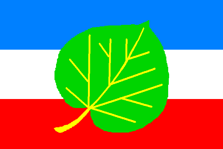 ps.flag2