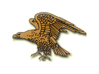 zlato-sokol-1.gif (10702 bytes)