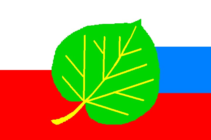 ps.flag1